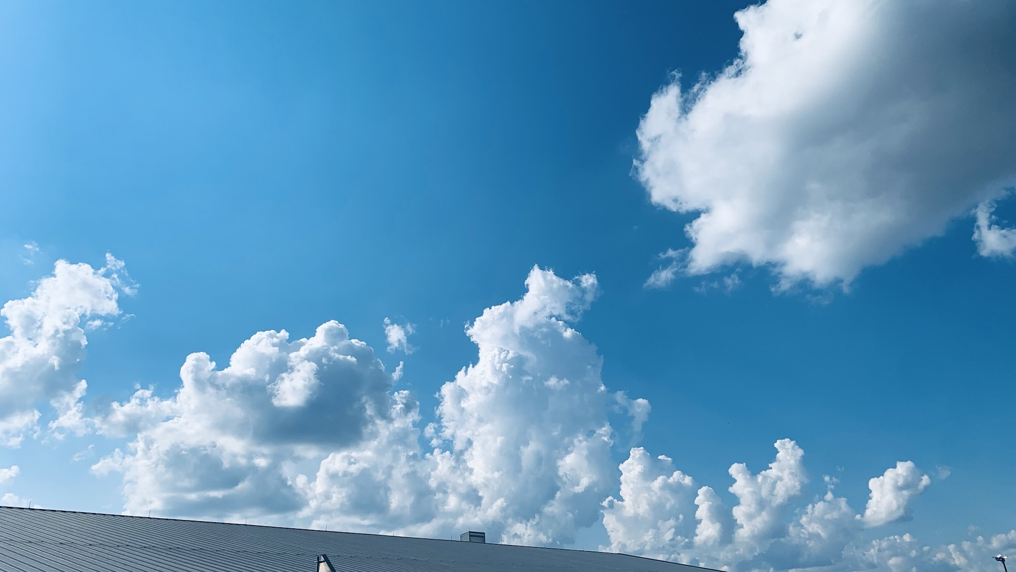 How to Plan the Perfect Budget-Friendly Family Staycation