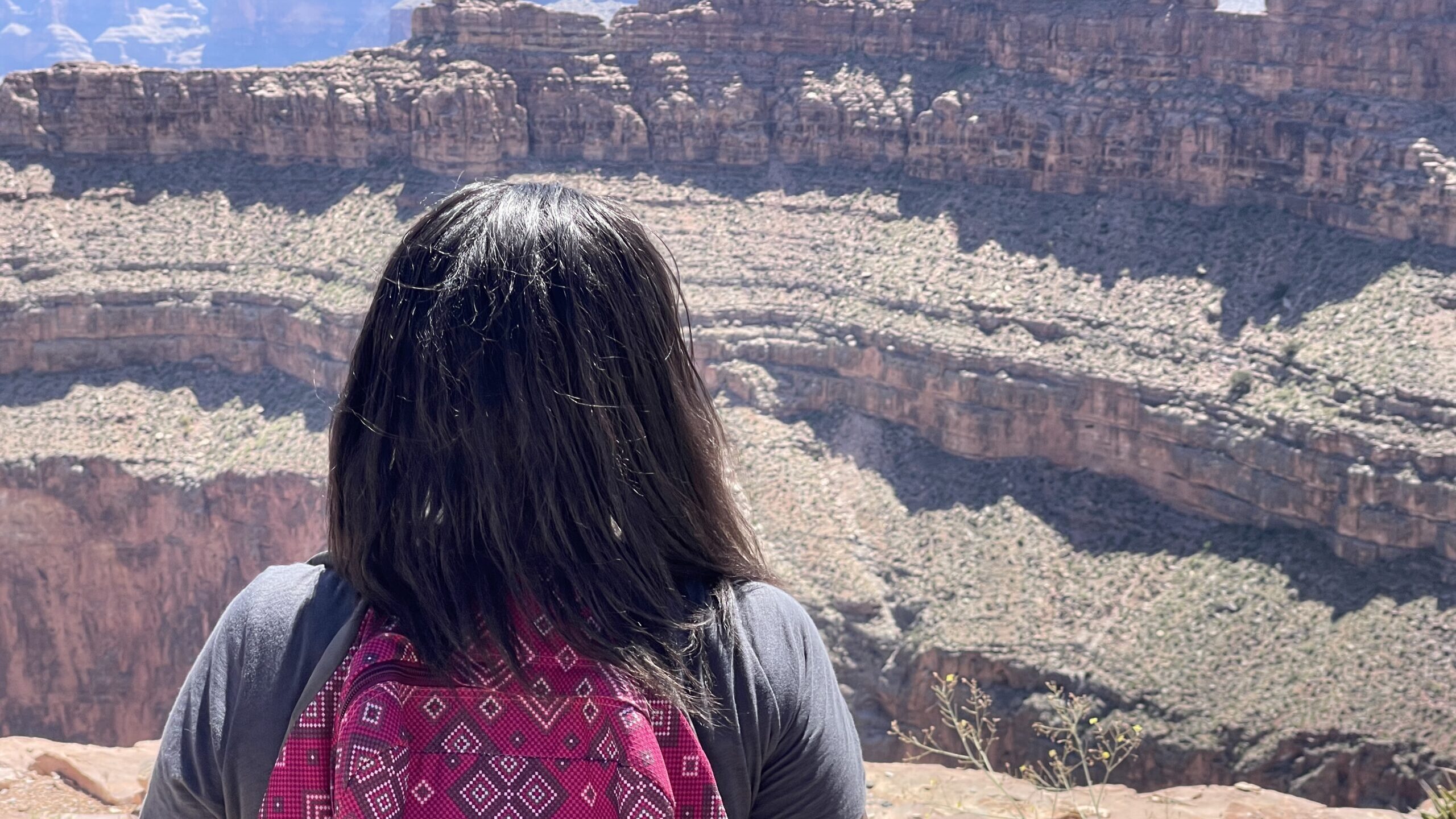 Viewing The Grand Canyon